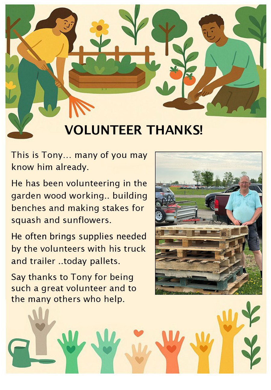Celebrating Our Volunteers