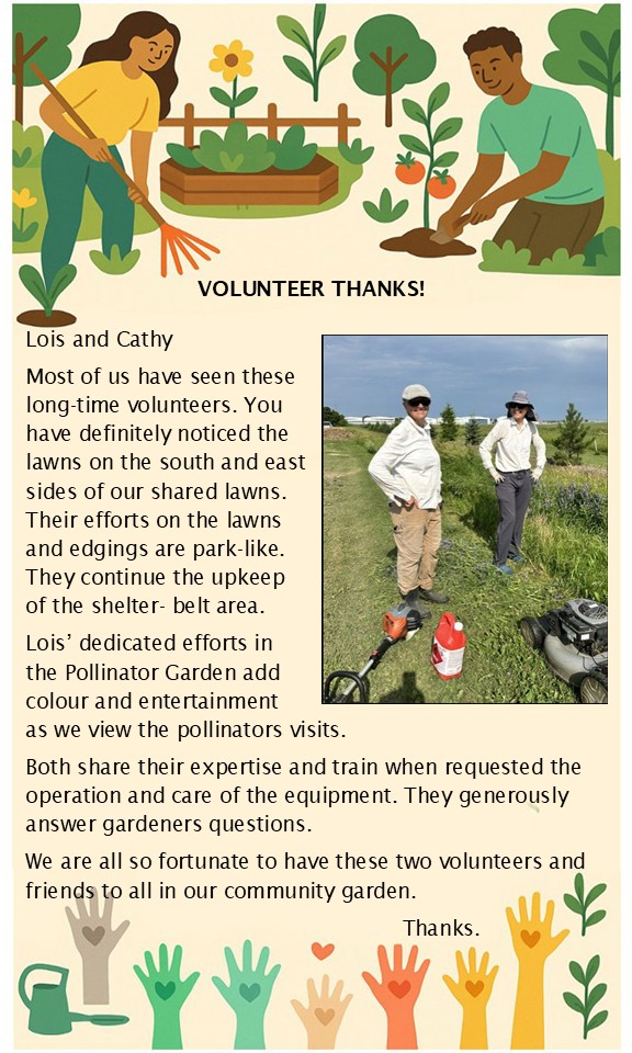 volunteer-Thanks Celebrating Our Volunteers