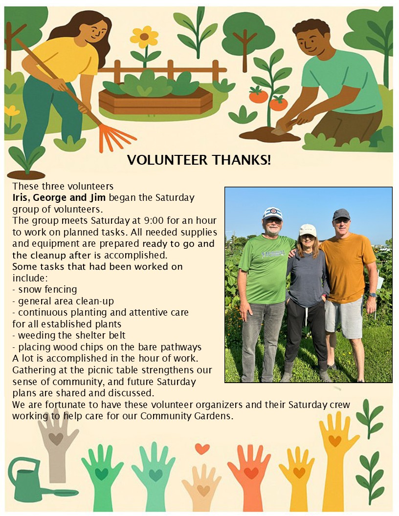 Celebrating Our Volunteers
