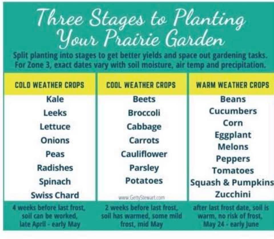 Three Steps to Planting Your Prairie Garden
