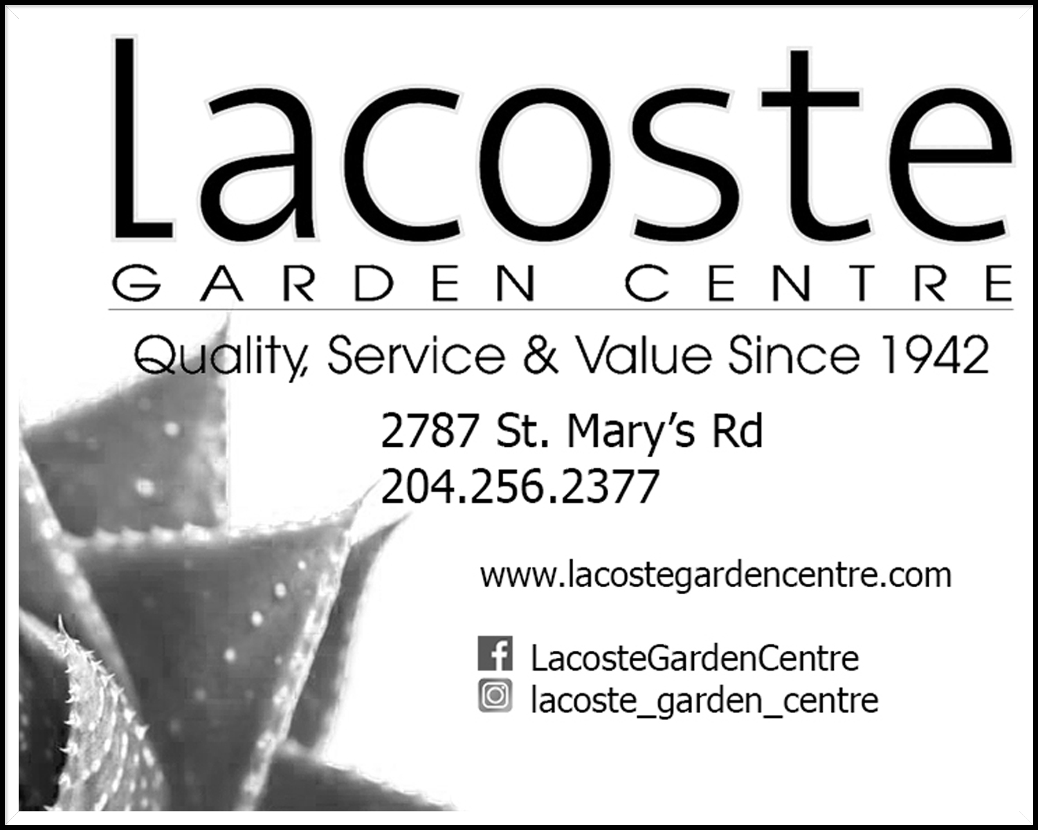 Lacoste Garden Centre
