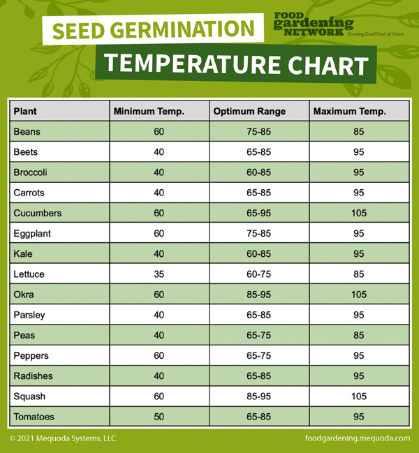 Seed Germination Temperature Chart